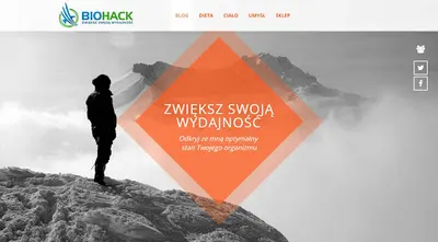 Professional Web Design Piotr Majdykowski